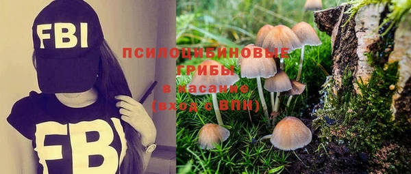 гашиш Дмитриев