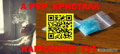 Альфа ПВП Будённовск