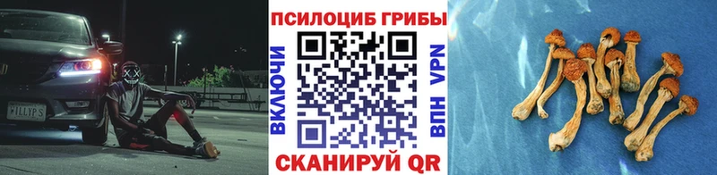 Псилоцибиновые грибы Magic Shrooms  Волгоград 