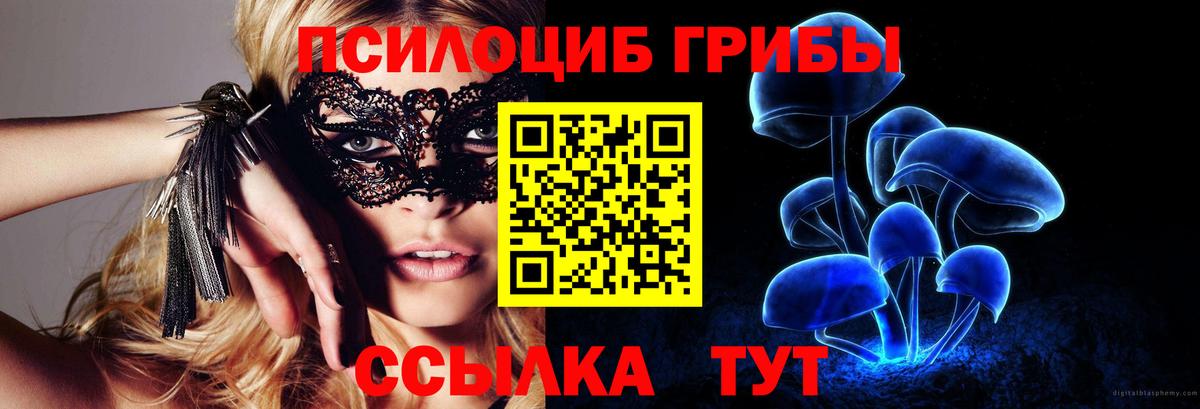 Псилоцибиновые грибы прущие грибы  купить наркотик  Волгоград 